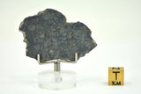 8.47g Eucrite Monomict Slice | HED NWA 8555