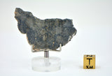 8.83g Eucrite Monomict Slice | HED NWA 8555