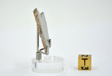 8.83g Eucrite Monomict Slice | HED NWA 8555