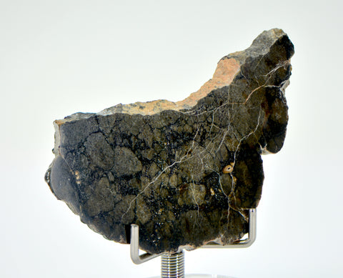8.83g Eucrite Monomict Slice | HED NWA 8555