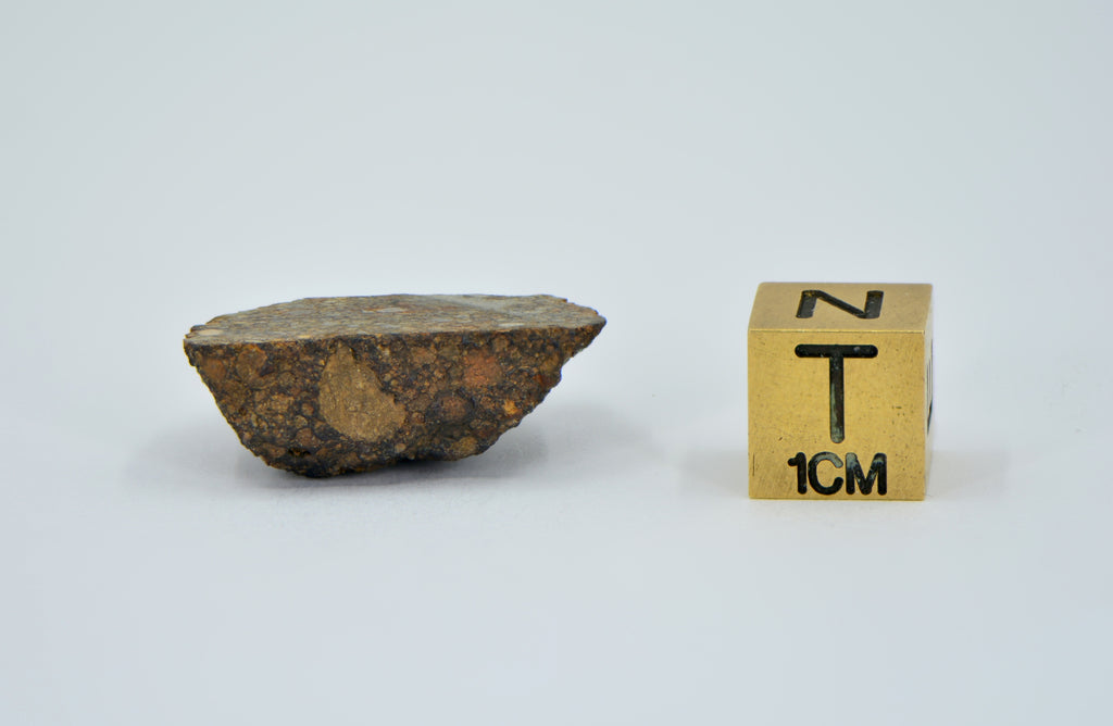 トーンヌール 12個　¥12800 3.44g LL3.00 Unequilibrated Primitive Chondrite Slice – Top