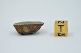 5g LL3.00 Unequilibrated Primitive Chondrite End Piece