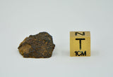 5g LL3.00 Unequilibrated Primitive Chondrite End Piece
