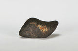 ORDINARY CHONDRITE Meteorite with FRESH CRUST 6.29g