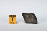 ORDINARY CHONDRITE Meteorite with FRESH CRUST 6.29g