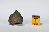ORDINARY CHONDRITE Meteorite with FRESH CRUST 5.1g
