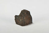 ORDINARY CHONDRITE Meteorite with FRESH CRUST 5.1g