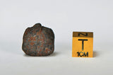 ORDINARY CHONDRITE Meteorite with FRESH CRUST 4.27g