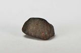 ORDINARY CHONDRITE Meteorite with FRESH CRUST 4.27g