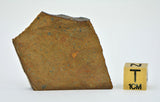 18.74g OUZINA R4 Chondrite Meteorite Slice