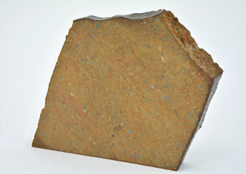 18.74g OUZINA R4 Chondrite Meteorite Slice