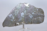 Stunning 49.4g PUNGGUR Meteorite Slice Witnessed Fall Indonesia