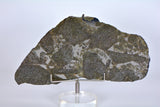 Stunning 49.4g PUNGGUR Meteorite Slice Witnessed Fall Indonesia