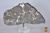 Stunning 49.4g PUNGGUR Meteorite Slice Witnessed Fall Indonesia