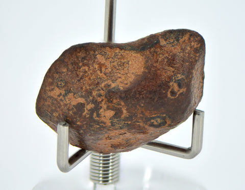 12.12 gram NWA 859 TAZA meteorite - Ungrouped Iron Meteorite