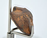 12.12 gram NWA 859 TAZA meteorite - Ungrouped Iron Meteorite