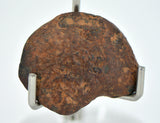 12.12 gram NWA 859 TAZA meteorite - Ungrouped Iron Meteorite