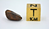 2.94 gram NWA 859 TAZA meteorite - Ungrouped Iron Meteorite