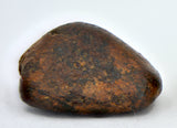 2.94 gram NWA 859 TAZA meteorite - Ungrouped Iron Meteorite