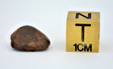 2.94 gram NWA 859 TAZA meteorite - Ungrouped Iron Meteorite