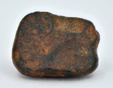 2.94 gram NWA 859 TAZA meteorite - Ungrouped Iron Meteorite
