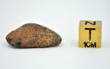 12.31 gram NWA 859 TAZA meteorite - Ungrouped Iron Meteorite