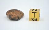 12.31 gram NWA 859 TAZA meteorite - Ungrouped Iron Meteorite