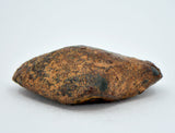 12.31 gram NWA 859 TAZA meteorite - Ungrouped Iron Meteorite
