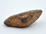 12.31 gram NWA 859 TAZA meteorite - Ungrouped Iron Meteorite