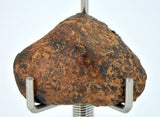 12.31 gram NWA 859 TAZA meteorite - Ungrouped Iron Meteorite