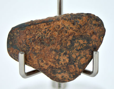 12.31 gram NWA 859 TAZA meteorite - Ungrouped Iron Meteorite