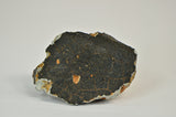 33.0g Unclassified HED Meteorite | Fragment with CRUST!