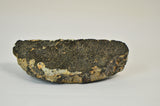 48g Unclassified HED Meteorite | Beautiful HED  Meteorite fragment with CRUST