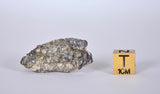 Lunar Meteorite 12.96g I Lunar Breccia I TOUAT 005