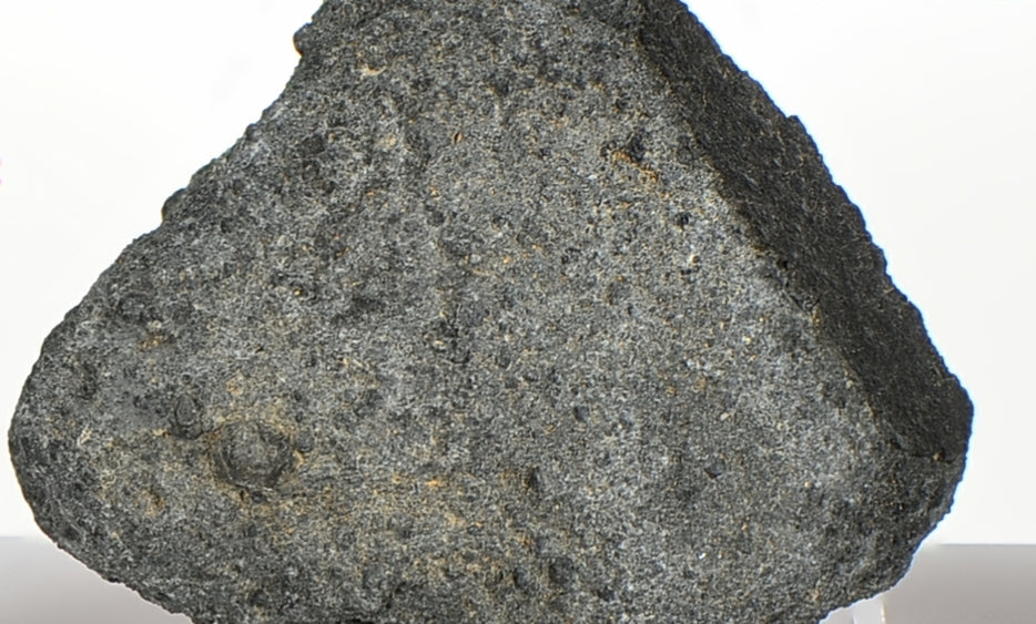 33.5g NWA 12925 I Carbonaceous Chondrite with Very Fresh Fusion Crust