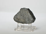 33.5g NWA 12925 I Carbonaceous Chondrite with Very Fresh Fusion Crust
