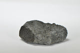 33.5g NWA 12925 I Carbonaceous Chondrite with Very Fresh Fusion Crust