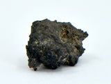 1.36g Carbonaceous Chondrite C3-ung I NWA 12416