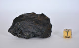 55.1g ZHAMANSHINITE Impact glass from the Zhamanshin meteor crater