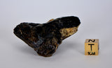 47.5g ZHAMANSHINITE Impact glass rock fusion from the Zhamanshin meteor crater