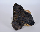 47.5g ZHAMANSHINITE Impact glass rock fusion from the Zhamanshin meteor crater