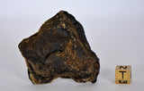 47.5g ZHAMANSHINITE Impact glass rock fusion from the Zhamanshin meteor crater