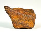 14.5g AGOUDAL I IIAB Iron Meteorite