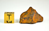 14.5g AGOUDAL I IIAB Iron Meteorite