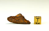 12.65g AGOUDAL I IIAB Iron Meteorite