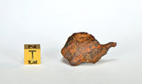 Iron Meteorite - AGOUDAL 27.17g Collectors Specimen I IIAB Iron Meteorite