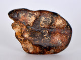 18.31g AGOUDAL Oriented Iron Meteorite - IIAB Iron