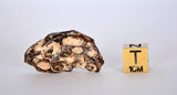23.38g AGOUDAL Iron Meteorite - IIAB Iron