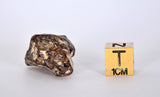 23.38g AGOUDAL Iron Meteorite - IIAB Iron