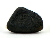 0.24g AGUAS ZARCAS Oriented Meteorite I Carbonaceous Chondrite CM2